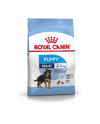 Karma Royal Canin SHN Maxi Puppy (4 kg )