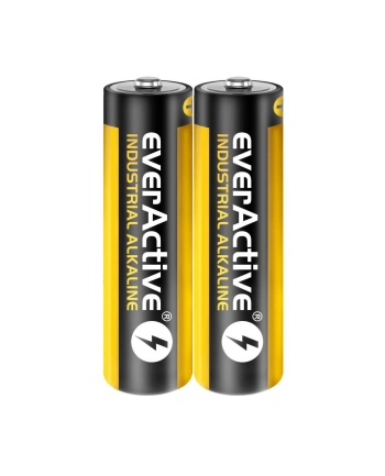 Baterie AA everActive EVLR6S2IK (40) nr 1