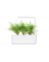 click and grow Click&Grow Inteligentna doniczka Smart Garden 3 White - nr 12