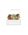 click and grow Click&Grow Inteligentna doniczka Smart Garden 3 White - nr 13