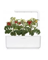 click and grow Click&Grow Inteligentna doniczka Smart Garden 3 White - nr 19