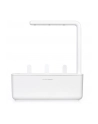 click and grow Click&Grow Inteligentna doniczka Smart Garden 3 White - nr 22