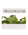 click and grow Click&Grow Inteligentna doniczka Smart Garden 3 White - nr 23