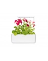 click and grow Click&Grow Inteligentna doniczka Smart Garden 3 White - nr 6