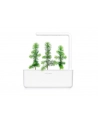 click and grow Click&Grow Inteligentna doniczka Smart Garden 3 White - nr 7