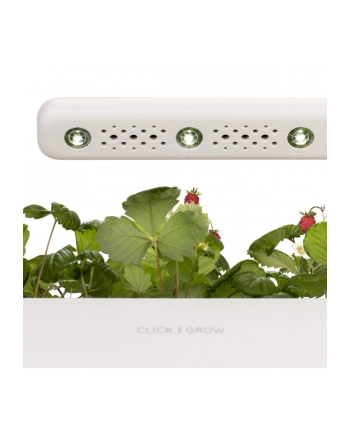 click and grow Click&Grow Inteligentna doniczka Smart Garden 3 Dark Grey nr 1