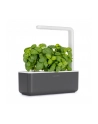 click and grow Click&Grow Inteligentna doniczka Smart Garden 3 Dark Grey - nr 1
