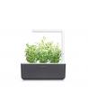 click and grow Click&Grow Inteligentna doniczka Smart Garden 3 Dark Grey - nr 6