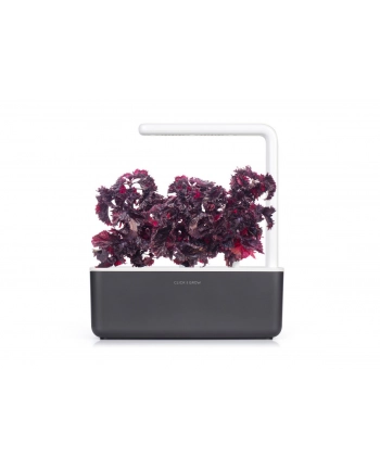 click and grow Click&Grow Inteligentna doniczka Smart Garden 3 Dark Grey nr 2