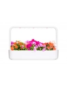 click and grow Click&Grow Inteligentna doniczka Smart Garden 9 White - nr 10