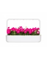 click and grow Click&Grow Inteligentna doniczka Smart Garden 9 White - nr 13