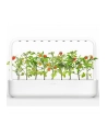 click and grow Click&Grow Inteligentna doniczka Smart Garden 9 White - nr 16