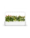 click and grow Click&Grow Inteligentna doniczka Smart Garden 9 White - nr 17