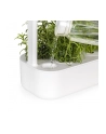 click and grow Click&Grow Inteligentna doniczka Smart Garden 9 White - nr 20