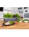 click and grow Click&Grow Inteligentna doniczka Smart Garden 9 White - nr 29