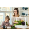 click and grow Click&Grow Inteligentna doniczka Smart Garden 9 White - nr 30