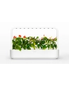click and grow Click&Grow Inteligentna doniczka Smart Garden 9 White - nr 4