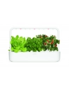 click and grow Click&Grow Inteligentna doniczka Smart Garden 9 White - nr 5