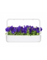 click and grow Click&Grow Inteligentna doniczka Smart Garden 9 White - nr 9