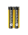 Baterie alkaliczne everActive EVLR03S2IK (40) - nr 1