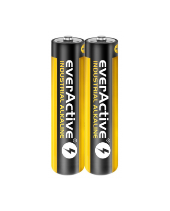 Baterie alkaliczne everActive EVLR03S2IK (40)