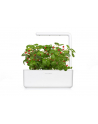 click and grow Click&Grow Inteligentna doniczka Smart Garden 3 White - nr 14