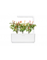 click and grow Click&Grow Inteligentna doniczka Smart Garden 3 White - nr 18
