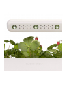 click and grow Click&Grow Inteligentna doniczka Smart Garden 3 White - nr 7