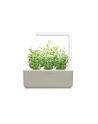 click and grow Click&Grow Inteligentna doniczka Smart Garden 3 Mellow Beige - nr 17