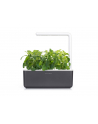 click and grow Click&Grow Inteligentna doniczka Smart Garden 3 Dark Grey - nr 13