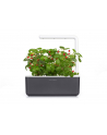 click and grow Click&Grow Inteligentna doniczka Smart Garden 3 Dark Grey - nr 14