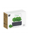 click and grow Click&Grow Inteligentna doniczka Smart Garden 3 Dark Grey - nr 1