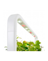 click and grow Click&Grow Inteligentna doniczka Smart Garden 9 Beige - nr 5