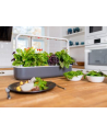 click and grow Click&Grow Inteligentna doniczka Smart Garden 9 Dark Grey - nr 12
