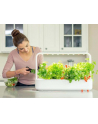 click and grow Click&Grow Inteligentna doniczka Smart Garden 9 Dark Grey - nr 15