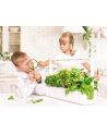 click and grow Click&Grow Inteligentna doniczka Smart Garden 9 Dark Grey - nr 16