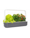 click and grow Click&Grow Inteligentna doniczka Smart Garden 9 Dark Grey - nr 7