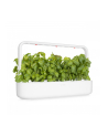 click and grow Click&Grow Kapsułki z nasionami Smart Soil Bazylia 3pak - nr 12
