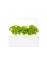 click and grow Click&Grow Kapsułki z nasionami Smart Soil Bazylia 3pak - nr 2