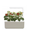 click and grow Click&Grow Kapsułki z nasionami Smart Soil Pomidorki koktajlowe 3pak - nr 9