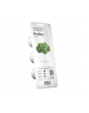 click and grow Click&Grow Kapsułki z nasionami Smart Soil Pietruszka 3pak - nr 3