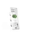 click and grow Click&Grow Kapsułki z nasionami Smart Soil Pietruszka 3pak - nr 6
