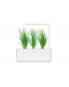 click and grow Click&Grow Kapsułki z nasionami Smart Soil Szczypiorek 3pak - nr 10