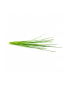 click and grow Click&Grow Kapsułki z nasionami Smart Soil Szczypiorek 3pak - nr 7