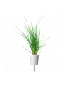 click and grow Click&Grow Kapsułki z nasionami Smart Soil Szczypiorek 3pak - nr 8