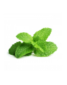 click and grow Click&Grow Kapsułki z nasionami Smart Soil Mięta pieprzowa 3pak - nr 2