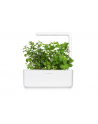 click and grow Click&Grow Kapsułki z nasionami Smart Soil Mięta pieprzowa 3pak - nr 4