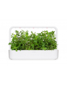 click and grow Click&Grow Kapsułki z nasionami Smart Soil Mięta pieprzowa 3pak - nr 6