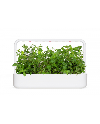 click and grow Click&Grow Kapsułki z nasionami Smart Soil Mięta pieprzowa 3pak