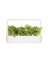 click and grow Click&Grow Kapsułki z nasionami Smart Soil Poziomka 3pak - nr 8